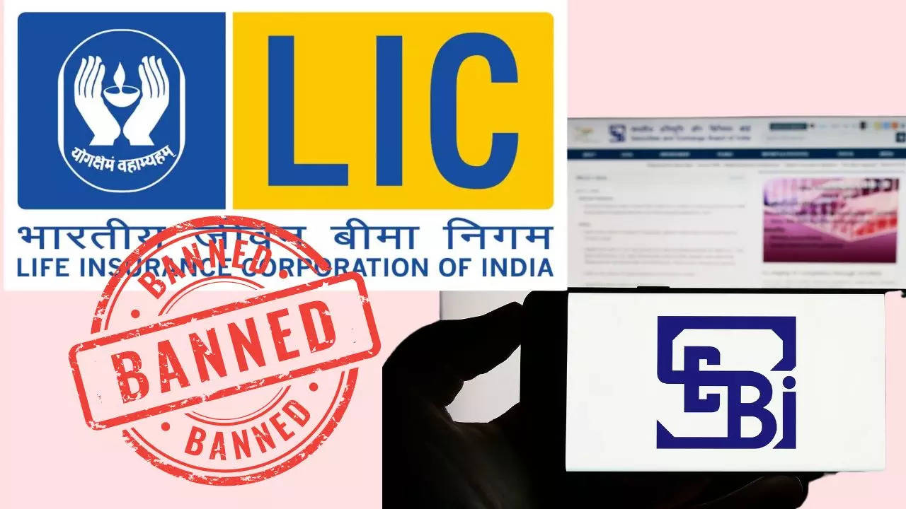 Sebi News: SEBI Confirms Involvement of LIC Employee, Other Entities in Front-Running Case of ‘Big Client’ | Companies News